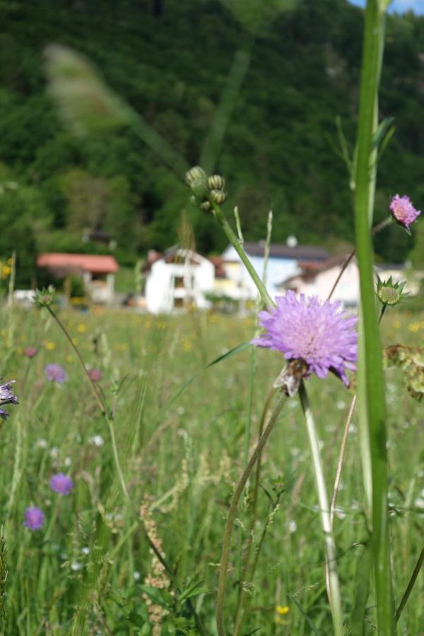 Ferienwohnung Hisa Lenart Tolmin Exterior foto